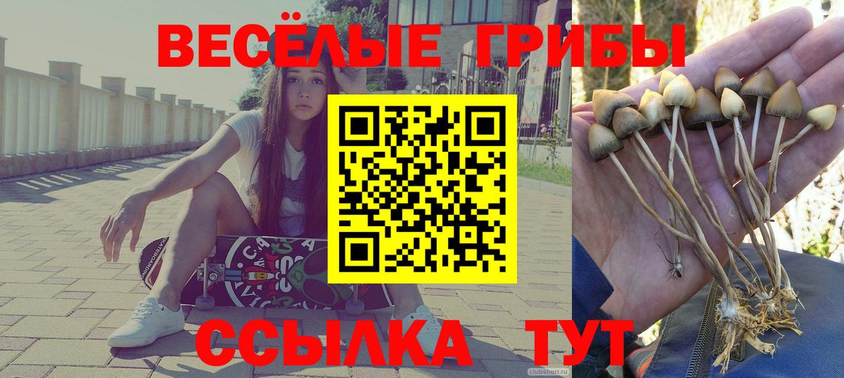 Псилоцибиновые грибы ЛСД Кимовск